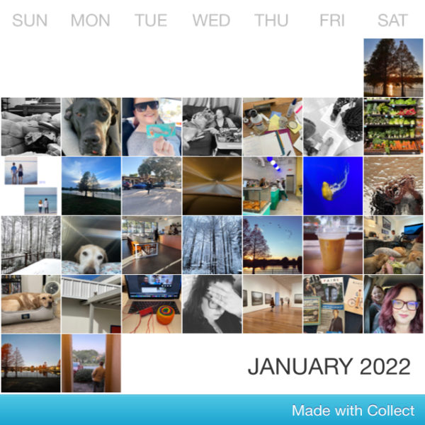 Project 365 Month 1