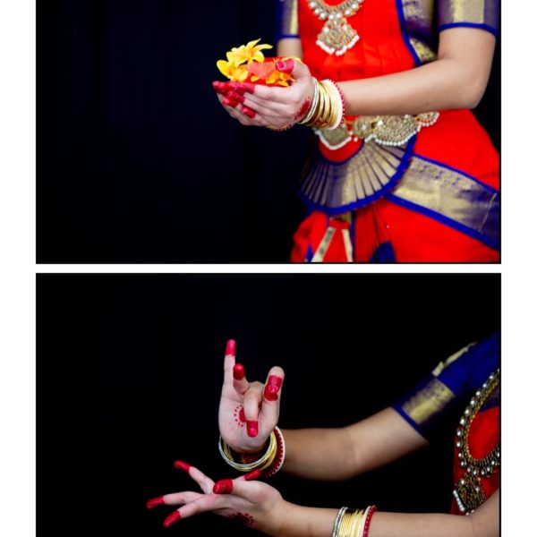 A year of Diptychs…so far